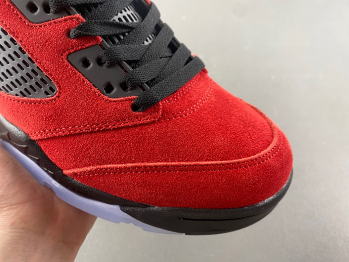 Air Jordan 5 2025 DD0587-600