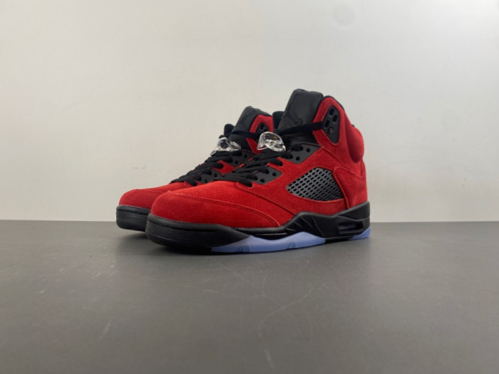 Air Jordan 5 2025 DD0587-600