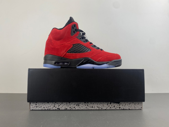 Air Jordan 5 2025 DD0587-600