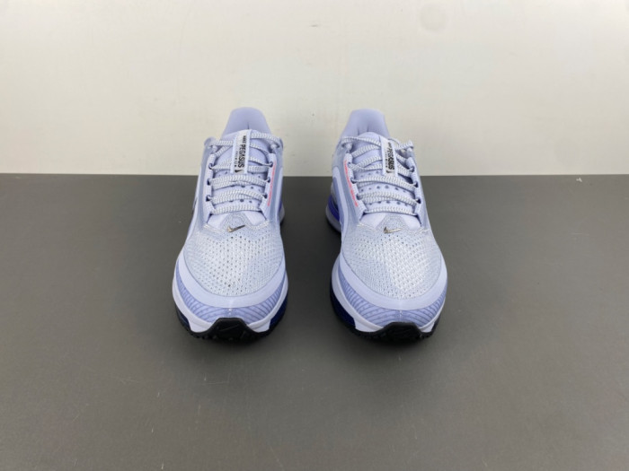 Nike Pegasus Premium 